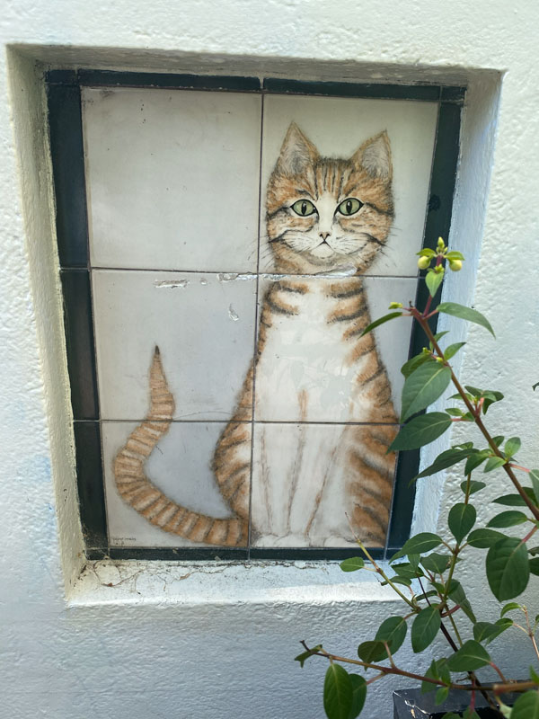 Katzenmotiv auf Keramikfliesen